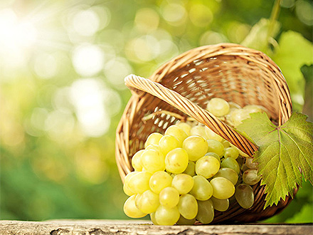 客戶案例標題六